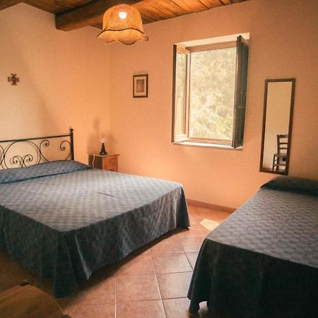 I Cedri Agriturismo Biologico Orsomarso Luaran gambar